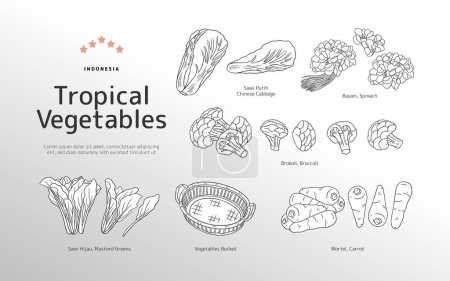 Téléchargez les illustrations : Illustration de contour des légumes tropicaux isolés - en licence libre de droit