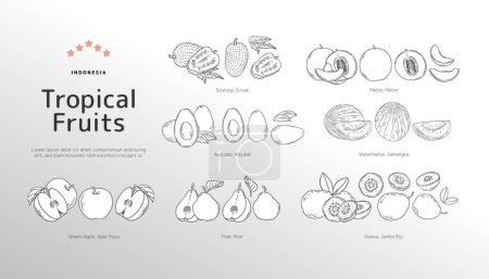 Téléchargez les illustrations : Illustration des contours des fruits tropicaux isolés - en licence libre de droit
