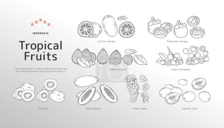 Téléchargez les illustrations : Illustration des contours des fruits tropicaux isolés - en licence libre de droit