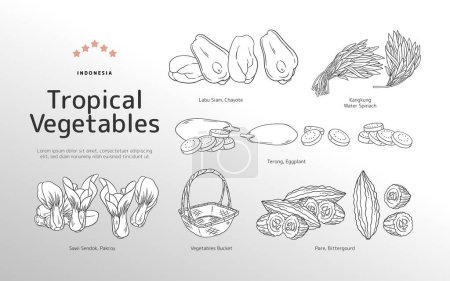 Téléchargez les illustrations : Illustration de contour des légumes tropicaux isolés - en licence libre de droit