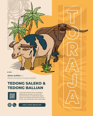 Téléchargez les illustrations : Tedong Saleko et Tedong Ballian, Tana Toraja Buffalo d'eau indonésien Culture Handrawn Illustration - en licence libre de droit