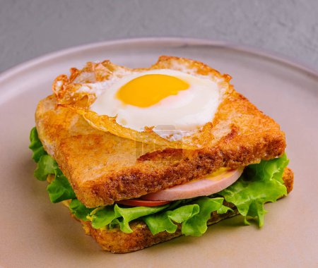 Photo for Fried egg on sandwich with sausage on plate - Royalty Free Image