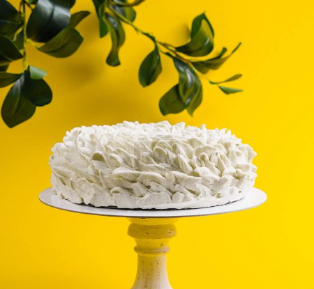Coffee Mousse Cake on Yellow Background