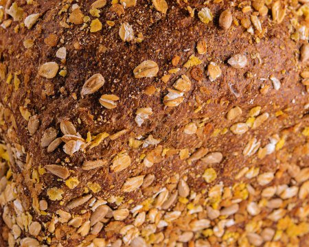 Photo for Loaf of fresh baked multigrain bread close up - Royalty Free Image