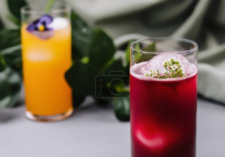 Elegant red cocktail garnished with herbs in the foreground, with a glass of orange juice and greenery in the back