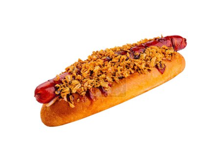 Savory gourmet hot dog topped with crunchy fried onions, presented on a clean white background
