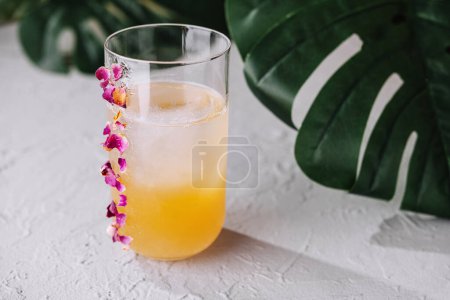 Erfrischendes tropisches Getränk mit zarter Orchidee auf einem strukturierten Tisch mit grünem Laub