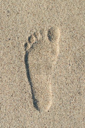 Photo for Left, human footprint in light, yellow sand. Concept for human legacy. - Royalty Free Image