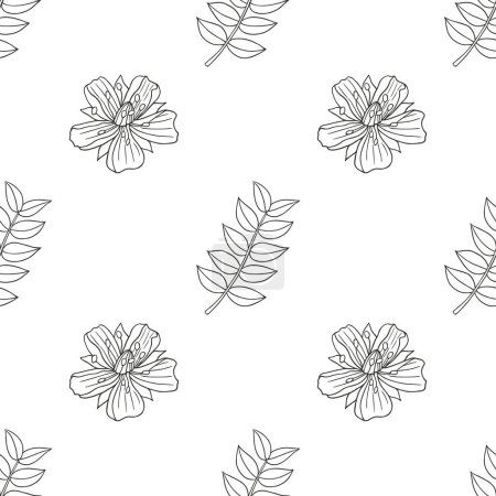 Illustration for Medicinal herbs collection. Vector botanical seamless pattern of a plant Tribulus Terrestris on a white backround - Royalty Free Image