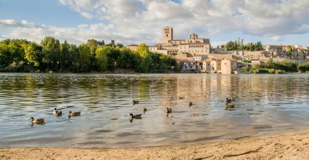 Téléchargez les photos : Paysage urbain avec cathédrale romane du XIIe siècle et moulins à eau sur la rivière Duero à Zamora, Castilla y Len, Espagne. - en image libre de droit