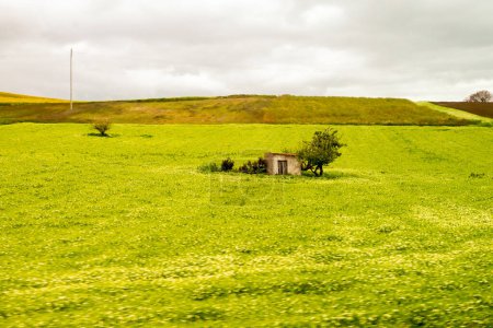 Beautiful landscape with a small house with trees. Little house in the middle of a green meadow and with a cloudy spring sky.