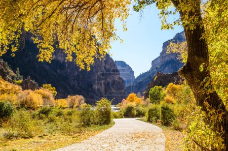 Follaje de otoño en Glenwood Canyon Recreation Trail en el río Colorado en Colorado, EE.UU.