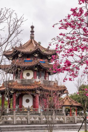 Photo for Cherry blossoms blooming and Pagoda at 228 Peace Memorial Park in Taipei. - Royalty Free Image