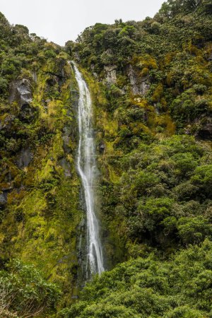 Foto de Cascada en el Parque Nacional Egmont en Nueva Zelanda. - Imagen libre de derechos