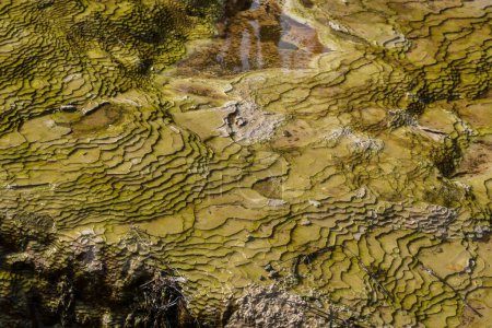 Téléchargez les photos : Couches de minéraux au Pays des Merveilles Thermiques de Wai-O-Tapu en Nouvelle-Zélande
. - en image libre de droit