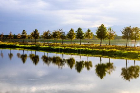 Foto de Lago escénico con reflexiones sobre árboles en un día soleado y tranquilo en Chishang, Taiwán - Imagen libre de derechos