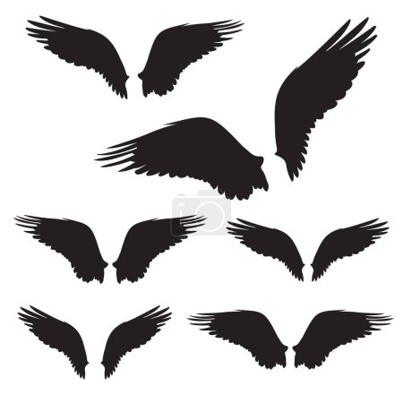 Téléchargez les photos : Des ailes avec des plumes. Forme. Illustration vectorielle des ailes d'oiseaux à balbuzards dans différentes variations. Illustrations d'oiseaux en vecteur. - en image libre de droit