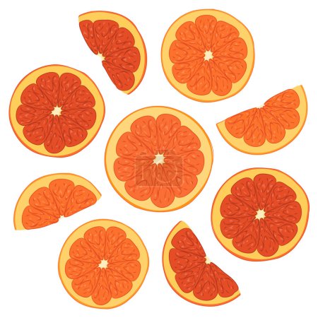 Ilustración de Ilustración a color de rodajas de naranja fresca. Ilustración vectorial de cortes de cítricos frescos de nueve piezas de color naranja. Imagen de ensalada de frutas de verano de rodajas de naranja en vector. Iconografías de cítricos tropicales. - Imagen libre de derechos