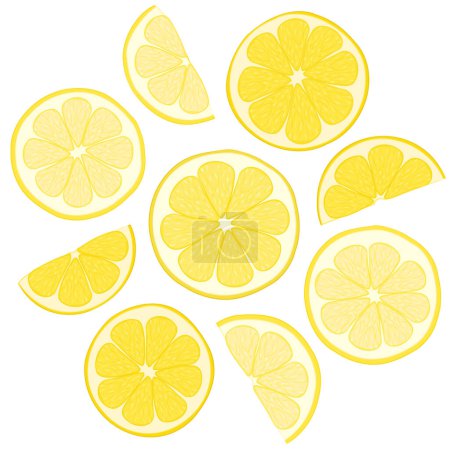 Ilustración de Ilustración a color de rodajas frescas de limón. Ilustración vectorial de cortes de cítricos frescos de nueve trozos de limón. Imagen de ensalada de frutas de verano de rodajas de limón en vector. Iconografías de cítricos tropicales. - Imagen libre de derechos