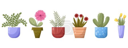 House plants, flowers in pots. Set of vector illustrations on a white background. Bright color palette, patterns, gradient.