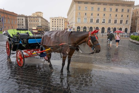 Téléchargez les photos : Vue complète d'un char à cheval vide dans la rue de Rome, Italie par temps pluvieux. - en image libre de droit