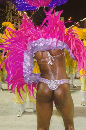Photo for Carnival. Afro Brazilian woman from the back. Half-naked dancer at the sambodrome with pink, blue and lilac feathers. - Royalty Free Image