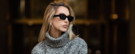 Téléchargez les photos : Femme élégante en lunettes de soleil et pull gris regardant loin à New York, bannière - en image libre de droit