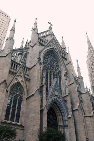 low angle view of ancient St Patricks Cathedral near trees in New York City