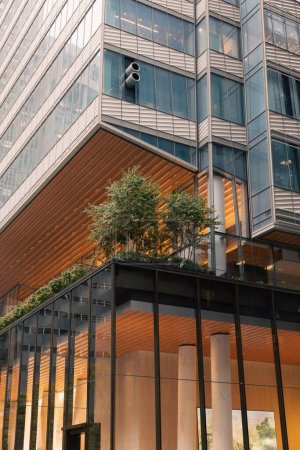 modern building with glass facade and green plants on terrace in New York City