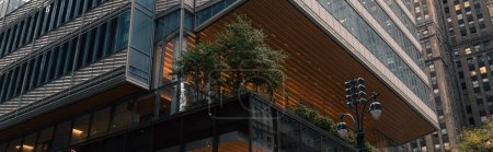 Photo for Green plants on terrace of contemporary building in Manhattan district of New York City, banner - Royalty Free Image