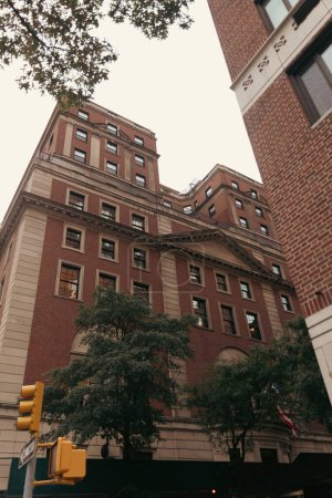 Téléchargez les photos : Vue à angle bas du bâtiment près des arbres et feu jaune sur la rue de New York - en image libre de droit