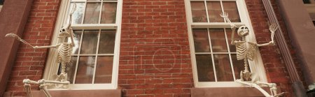 low angle view of creepy Halloween skeletons on white windows of brick house in New York city, banner