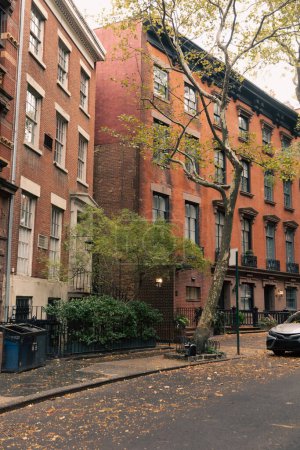 Calle urbana con casas de ladrillo y plantas en Nueva York