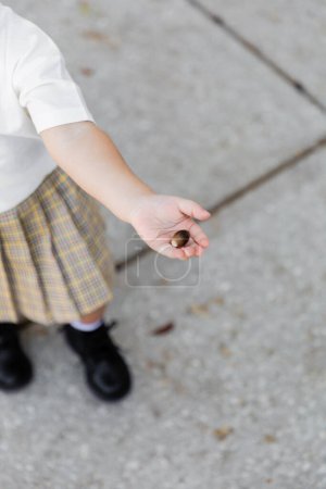 top view of cropped toddler girl in skirt holding acorn and standing on street 
