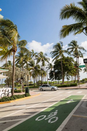 Foto de MIAMI, FLORIDA, EE.UU. - 15 DE DICIEMBRE DE 2022: palmeras verdes junto a la carretera con coche moderno - Imagen libre de derechos
