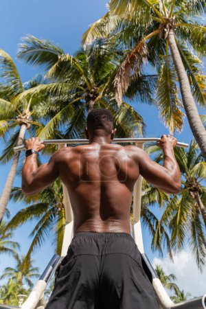 back view of strong african american man in shorts exercising next to palm trees in Miami beach 
