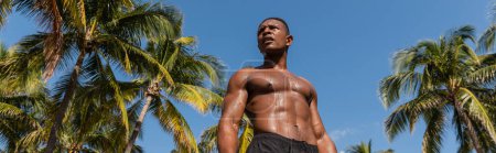 low angle view of sweaty african american sportsman standing next to palm trees after workout in Miami, banner 
