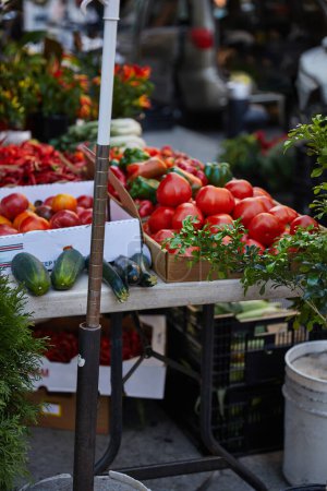 assortment of fresh vegetables and greenery on seasonal farmers market on street of new york city