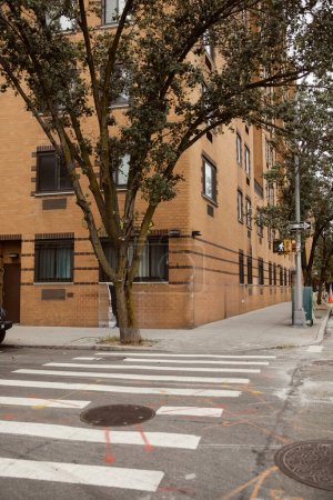 Téléchargez les photos : Bâtiment en brique près des arbres et passage piéton sur la rue dans la ville de New York, scène automnale - en image libre de droit