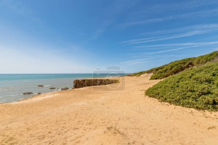 Téléchargez les photos : Vue sur la plage de La Mine à Jard sur Mer, France un jour d'été, Vendee, France - en image libre de droit