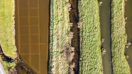 vue par drone sur les marais salants de l "île d'Olonne, Vendée, France par beau temps