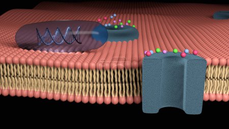 Foto de Terapia génica en una cápsula transparente de gelatina blanda sobre una membrana celular, tratamiento futuro (3D Rendering) - Imagen libre de derechos