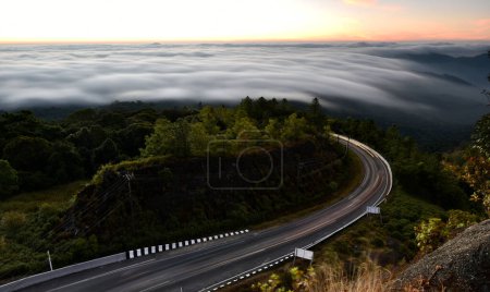 Téléchargez les photos : Ligne de voitures sous le brouillard qui recouvre la forêt de pins - en image libre de droit