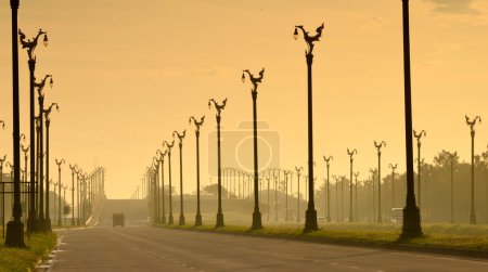Foto de Línea de perspectiva de poste de lámpara de electricidad cygnus en una mañana con cielo de oro - Imagen libre de derechos
