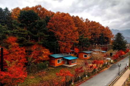 Téléchargez les photos : Maison colorée groupe dans un jardin à la saison d'automne - en image libre de droit