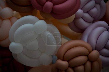 Téléchargez les photos : Mélange de ballon torsadé coloré - en image libre de droit