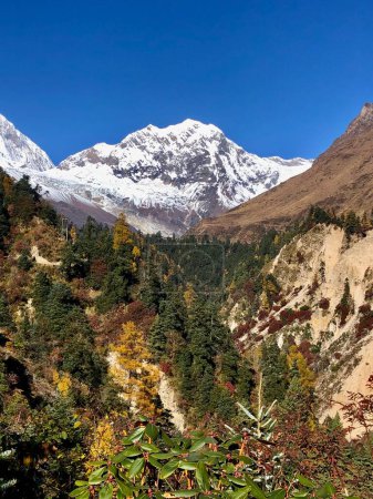 Photo for Manaslu circuit - trek in Nepal - Royalty Free Image