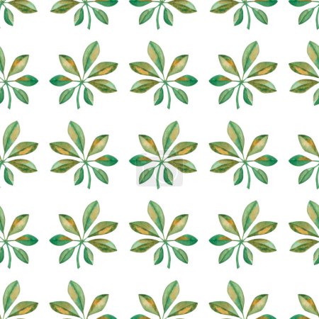Photo for Watercolor seamless pattern from hand painted illustration of green, yellow schefflera leaf. Tropical foliage. Jungle, rainforest plant. Print on white background for fabric textile, wallpaper, card - Royalty Free Image