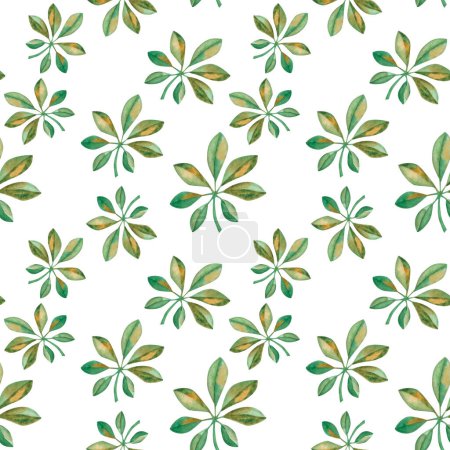 Photo for Watercolor seamless pattern. Hand painted illustration of green, yellow schefflera leaf. Tropical foliage. Jungle, rainforest plant. Print on white background for fabric textile, wallpaper, card - Royalty Free Image
