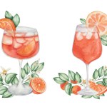 Watercolor illustration. Hand painted orange cocktails in glass with slice of orange fruit, green leaves, flowers, ice. Aperol spritz in goblet. Alcohol beverage drink. Isolated clip art for menu